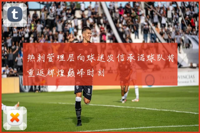 热刺管理层向球迷发信承诺球队将重返辉煌巅峰时刻